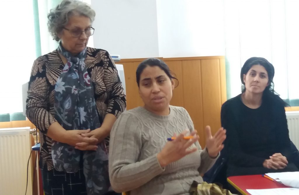 Dna Elena Stan este contastant alături de participante